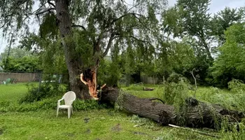 Tree Removal for Huntsville Tree Service in Huntsville, AL