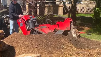 Stump Grinding for Anchor & Grind Stump in Chesapeake, VA