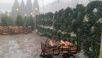 Pinestraw for BAM Another Pinestraw Lot in Flowery Branch, GA