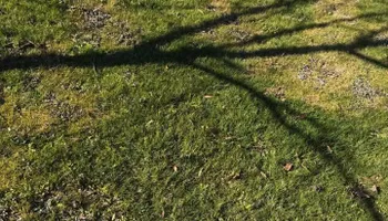 Pricing for Kathleen's Lawn & Shrub Care in Augusta, GA