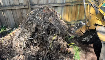 Stump Grinding for Busy Beaver Stump Removal, Inc in Clearwater, FL