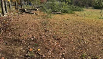 Land Clearing And Site Preparation for True Grit Hauling in Athens, TN