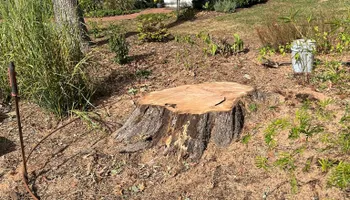 Household Junk Removal for Junk B Gone in Rougemont, NC