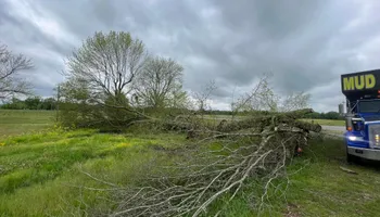 Land Clearing for Mud Creek Vegetation Management in Russellville, AL