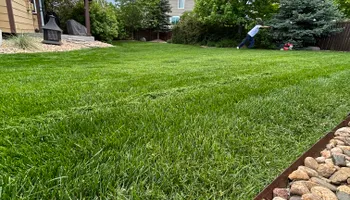 Mowing, Edging & Trimming for Denver Bros Lawn Control in Denver, CO