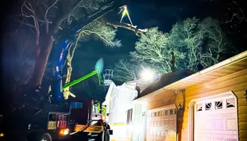 Tree Removal for Down To Earth Tree Service in Red Wing,  Minnesota