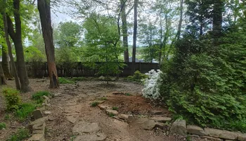 Tree Removal for M&L Lumber and Excavating in Jonesborough, TN