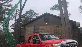 Tree Removal for Dale's Tree Service in Springdale, AR