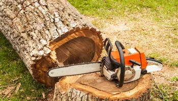 Tree Removal for Global Tree Specialist in Huffman, TX