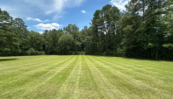 Lawn Maintenance for Wilkerson Turf Care in Hemphill, TX