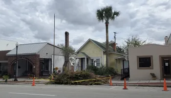 Tree Removal for Regal Tree Service and Stump Grinding in Wauchula, FL