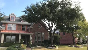 Tree Trimming for Twin Oak Solutions in Carrollton, TX