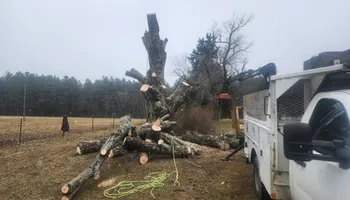 Tree Removal for Smith Tree Experts in Palmyra, VA