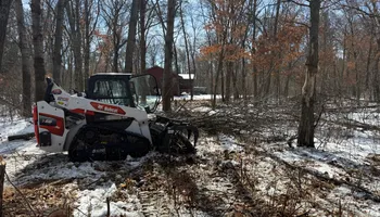 Land Clearing for Northern Summit Landworks in Little Falls, MN