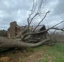 Tree Removal for SMITHs Tree Service in Columbus, IN