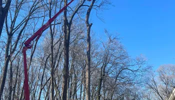 Tree Removal for SMITHs Tree Service in Columbus, IN