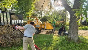 Tree Removal for Canopy Tree Service in Kenosha, WI