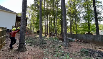 Tree Removal for J&M Stump Grinders LLC in Douglasville, GA