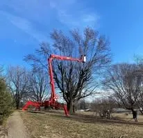 Tree Removal for SMITHs Tree Service in Columbus, IN