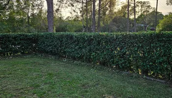 Lawn Care & Maintenance for Above the Lawn Cuts in Sebring, FL
