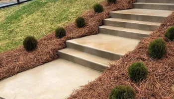 Lawn Clean Up for Healthy Roots Landscaping in Apex, NC