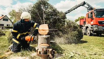 Tree Removal for Exclusive Demolition & Tree Service in Houston, TX
