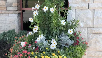 Commercial Maintenance/Installs for Urban Lawn & Landscape in Oklahoma City, OK
