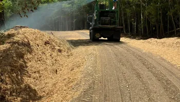 Land Clearing for Gibson Grade Works in Towns County, GA