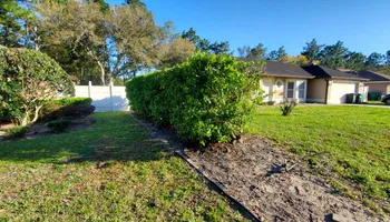 Tree Trimming for Highlife Tree Care And Landscaping in Altamonte Springs, FL