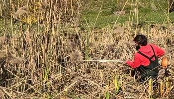 Mowing for Silburn Lawn & Landscape in Odenton, MD