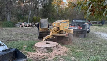 Tree Removal for Hingewood Tree Service in Salem, NJ