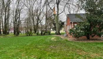 Tree Removal for Kadin’s Tree Service in North Vernon, IN