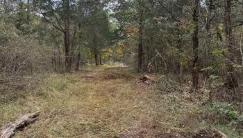 Land Clearing for Michael Way Acres in Woodlawn, TN