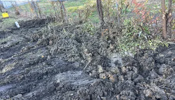 Drain Cleaning for PBGS PLUMBING in Chattanooga, TN