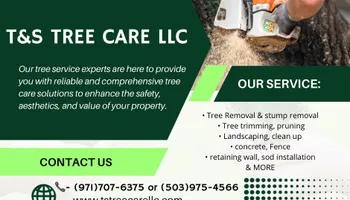 Tree Removal for T&S Tree Care LLC in Portland, OR