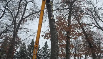 Snow Removal  for K and Z Tree Care in Isanti County, MN