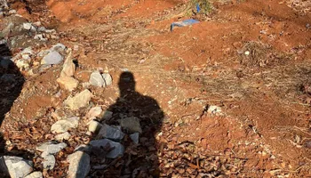 Land Clearing for Gibson Grade Works in Towns County, GA