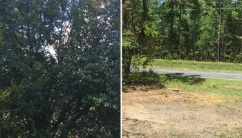 Tree Removal for Tucker's Tree Service and Stump Grinding in Lugoff, SC