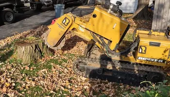 Residential Tree Services for TH Property Service, LLC in Kirkville, NY