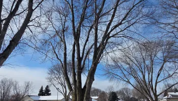 Snow Removal  for K and Z Tree Care in Isanti County, MN