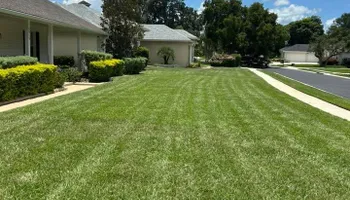 Fall Clean Up for Estrada All Pro Lawn Service in Auburndale, Florida