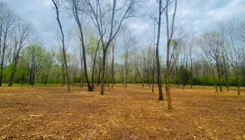 Land Clearing & Demolition for Green Land Management in Mount Pleasant, TN