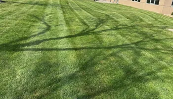 Fertilization Treatments for Chief Lawn Care in Lee's Summit, MO