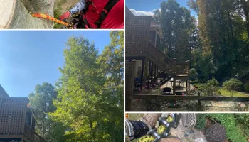 Tree Trimming for Pinedown LLC in Cherokee County, GA