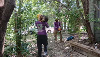 Tree Removal for Marvelous Marvin's Tree Care in Garland, TX