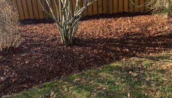 Tree Removal for Optimum Tree Service And Landscaping in Bowling Green, KY