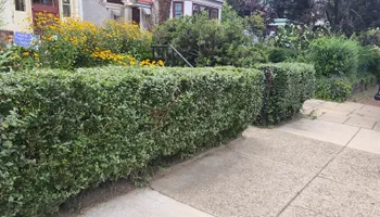 Mowing for Green Lawn Care in Ambler, PA