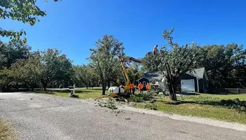 Tree Removal for Ross Family Tree Service LLC  in Hohenwald, TN
