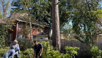 Tree Removal for JC Land and Tree Service in Kilgore, TX