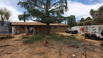 Tree Removal for A to Z Grounds Keeping in Sierra Vista, AZ